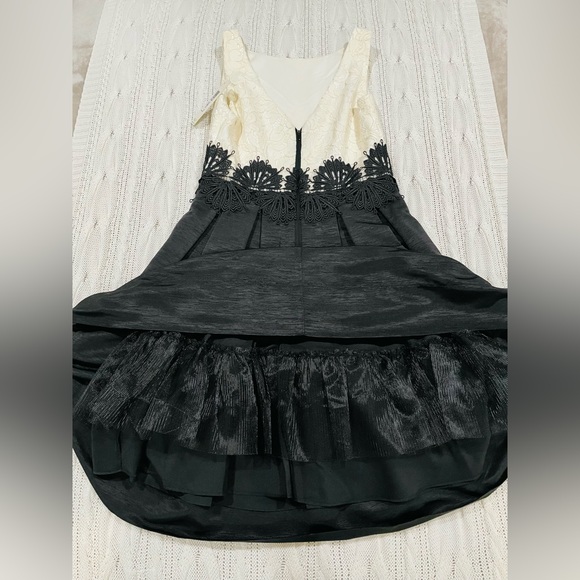 NWT Eliza J Black & White Lace Fit and Flare Midi Dress - Picture 3 of 15